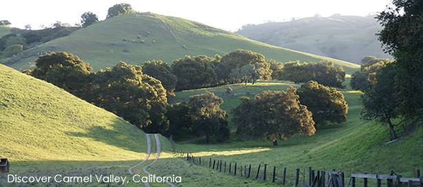 the green hills of carmel